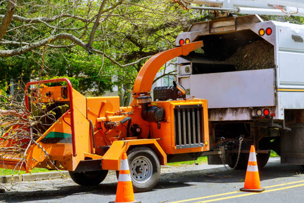 Soil Testing and Treatment in Cohoes, NY